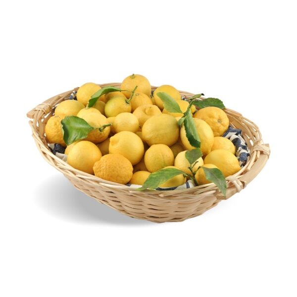 LIMONI DI FINALBORGO (RIVIERA LIGURE DI PONENTE), 3 KG