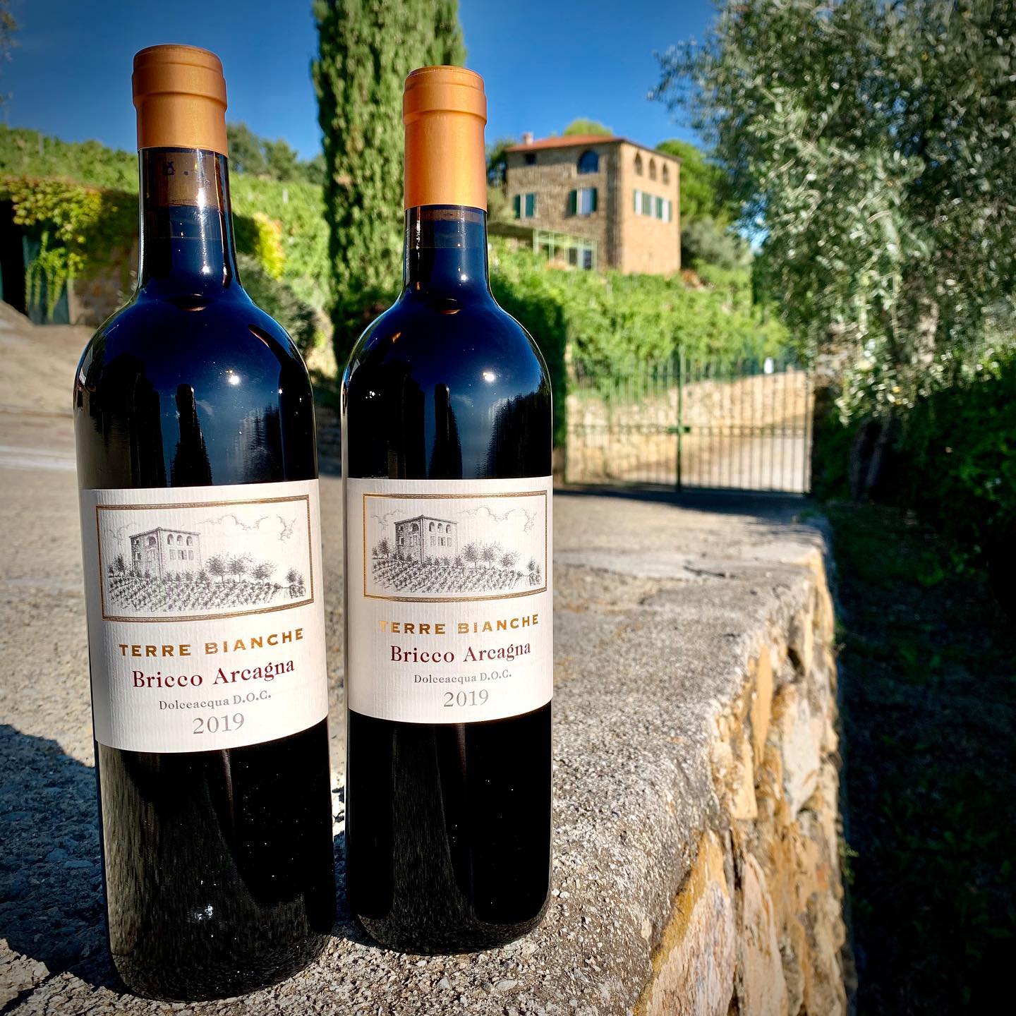 Dettaglio Produzione vinicola Azienda vinicola e agrituristica Terre Bianche di Filippo Rondelli